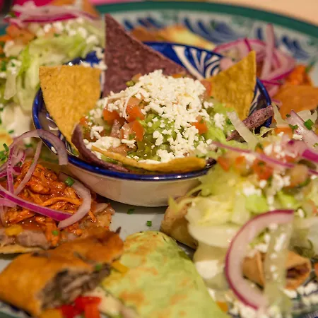 Blume 2* 인터라켄