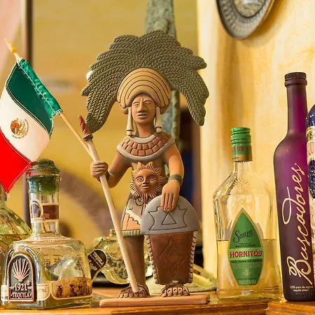 Blume 2* 인터라켄