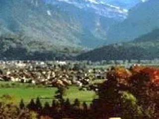 Blume Interlaken