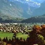 Blume Interlaken